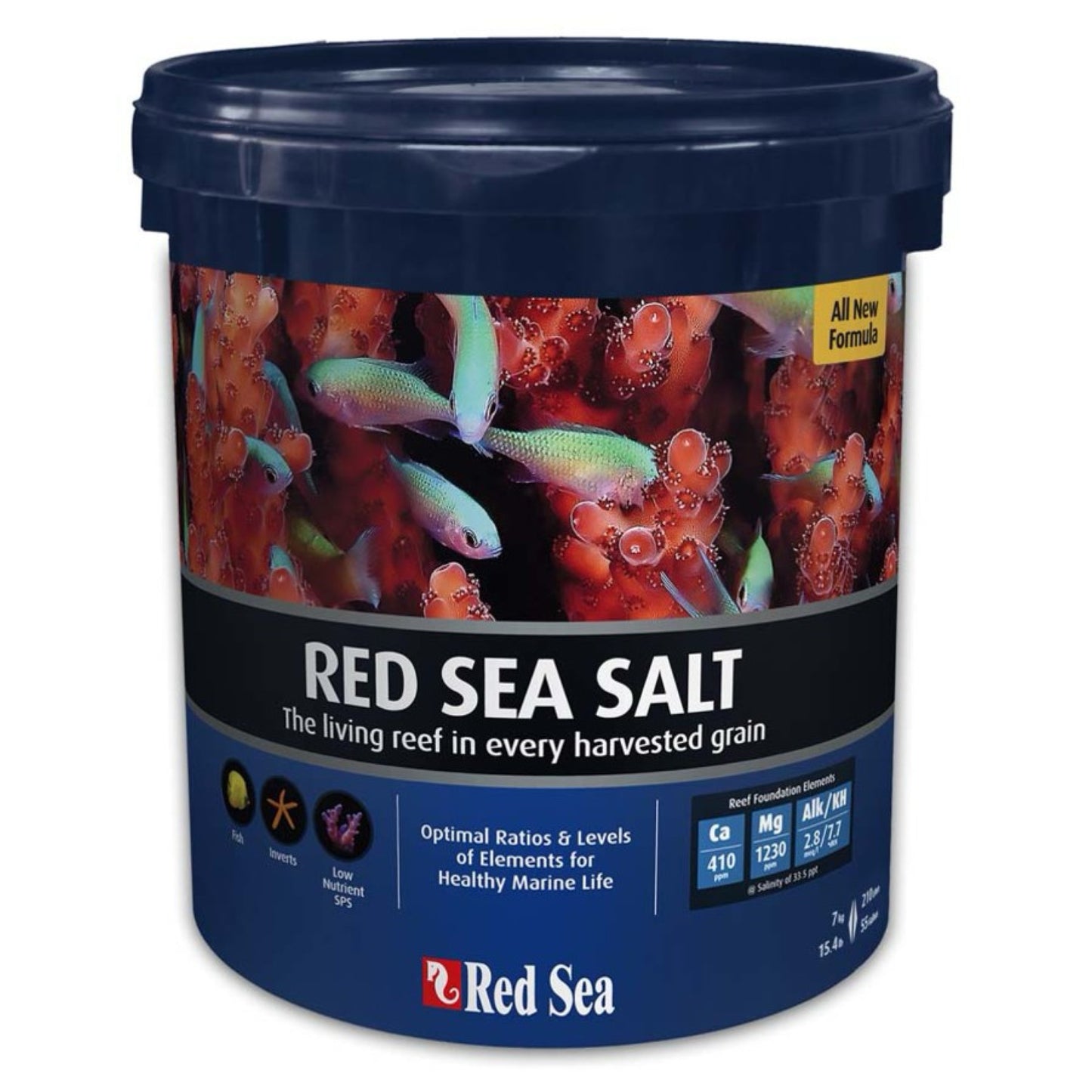 Red Sea Salt