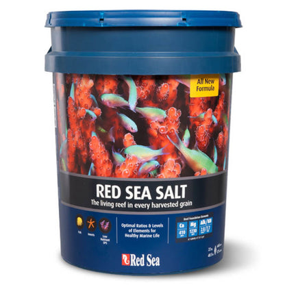 Red Sea Salt