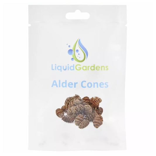 Liquid Gardens Alder Cones 25pk