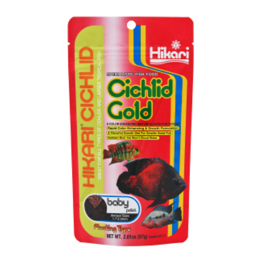 Hikari Cichlid Gold Baby